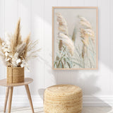 Neutral Pampas Grasses III Art Print