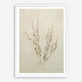 Whispering Grasses III Art Print