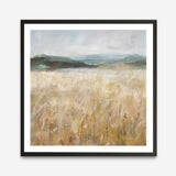 Field of Gold I (Square) Art Print