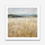 Field of Gold I (Square) Art Print