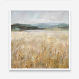 Field of Gold I (Square) Art Print
