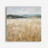Field of Gold I (Square) Canvas Print