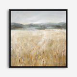 Field of Gold II (Square) Canvas Print