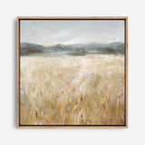 Field of Gold II (Square) Canvas Print