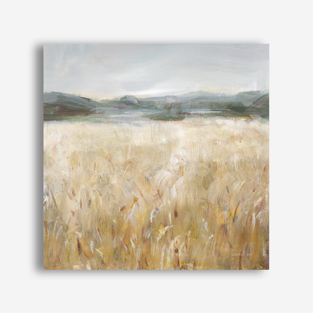 Field of Gold II (Square) Canvas Print