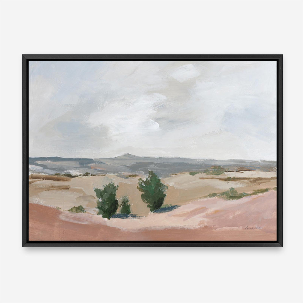 Arid Canvas Print