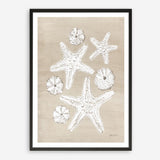 Beach Treasures I Art Print