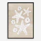 Beach Treasures I Art Print