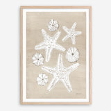 Beach Treasures I Art Print
