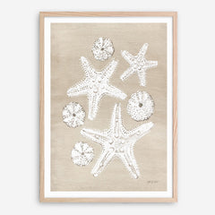 Beach Treasures I Art Print