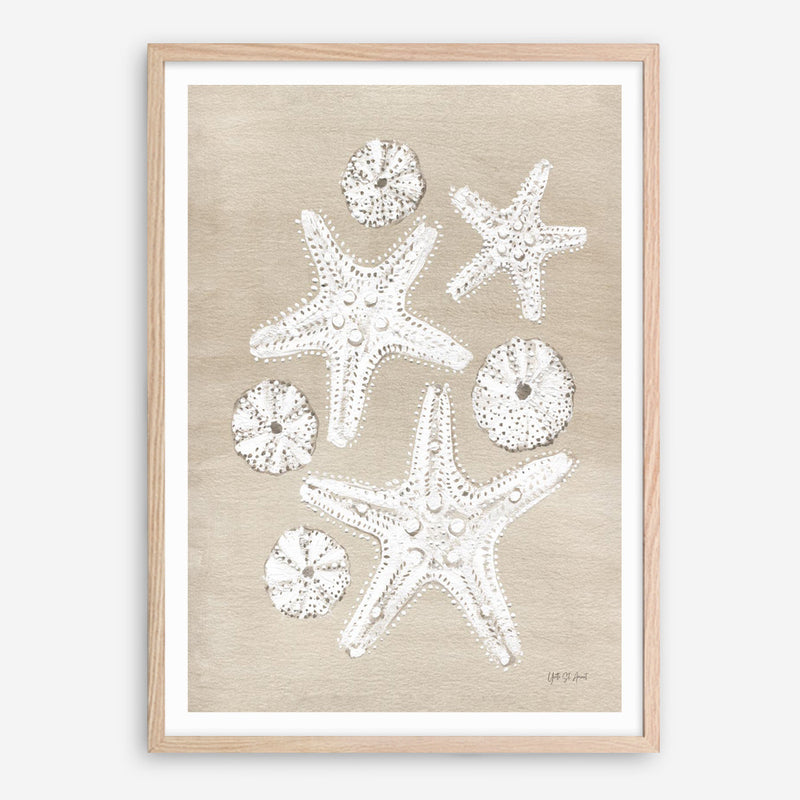 Beach Treasures I Art Print