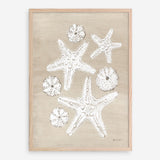 Beach Treasures I Art Print