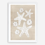 Beach Treasures I Art Print