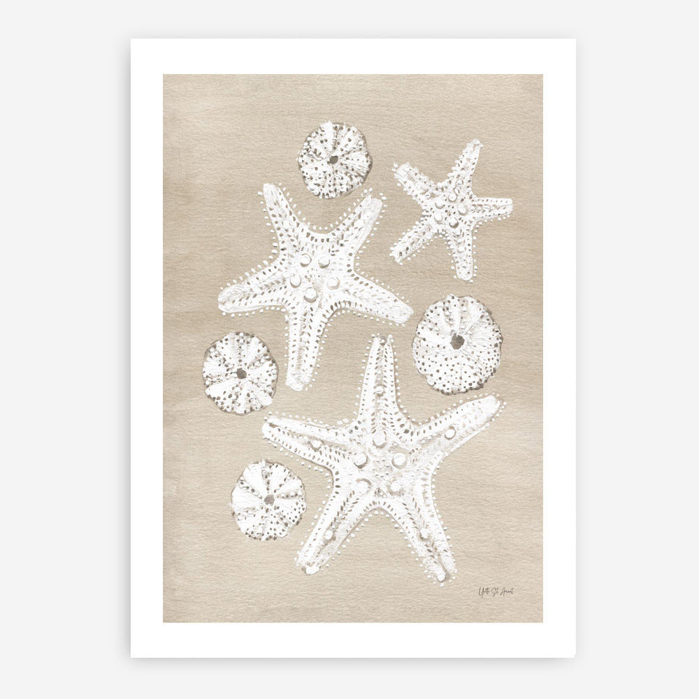 Beach Treasures I Art Print