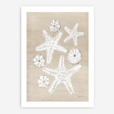 Beach Treasures I Art Print