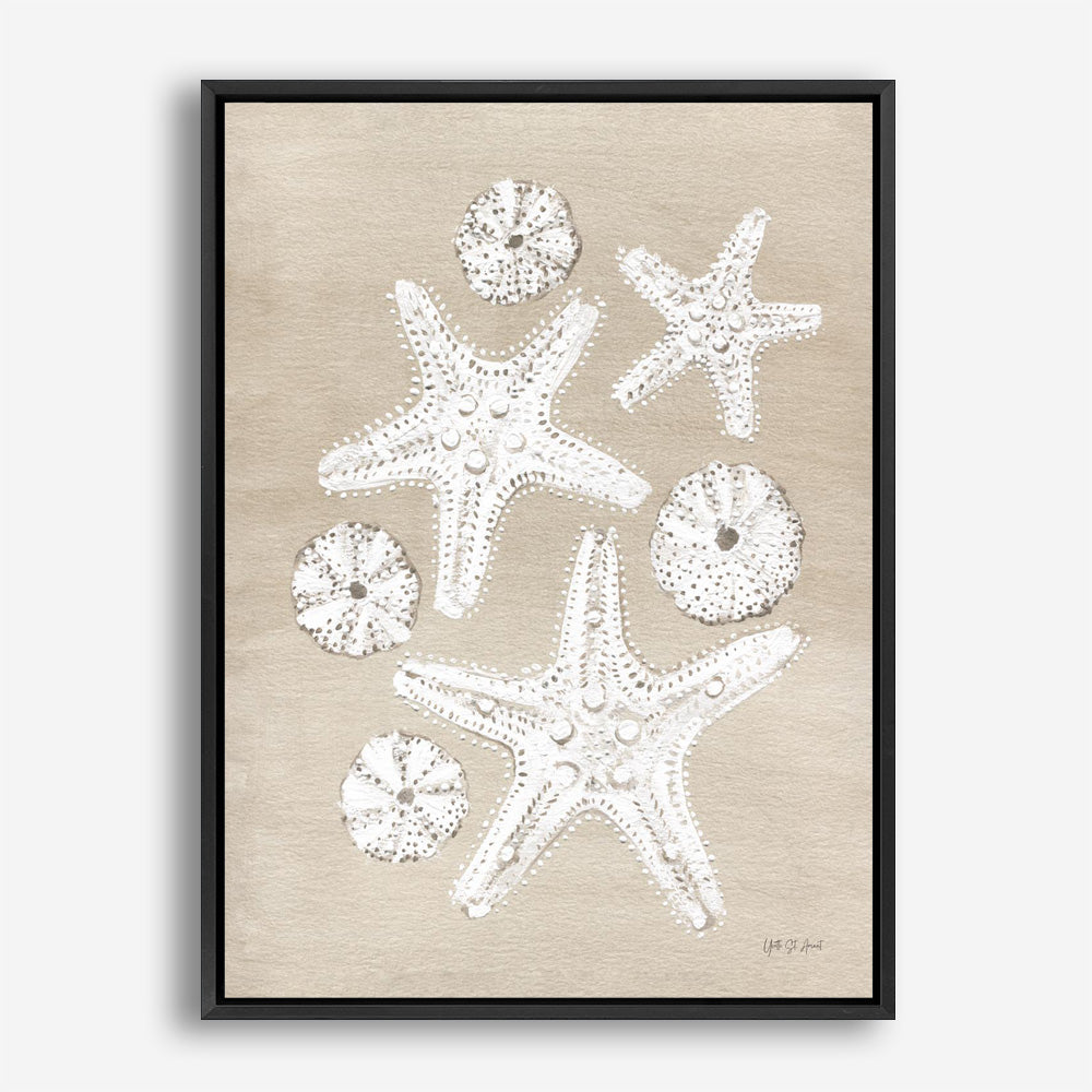 Beach Treasures I Canvas Print