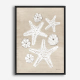 Beach Treasures I Canvas Print