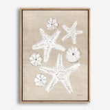 Beach Treasures I Canvas Print