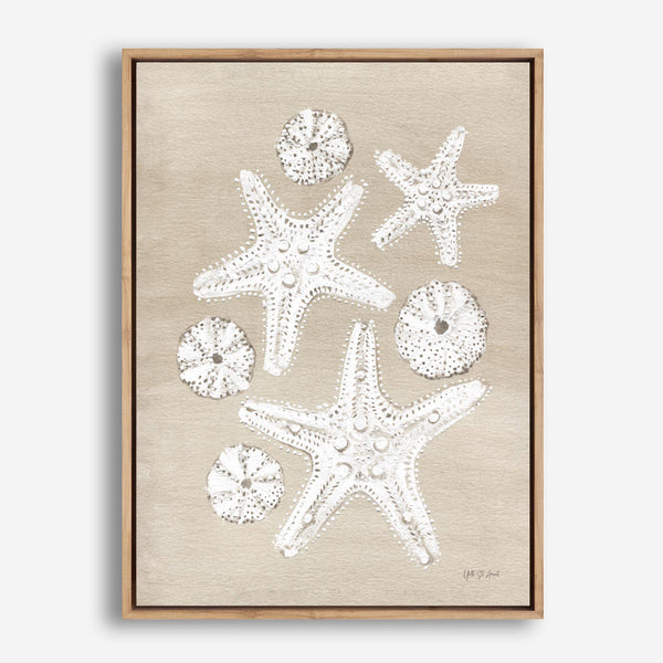 Beach Treasures I Canvas Print
