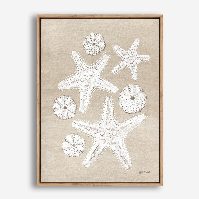Beach Treasures I Canvas Print