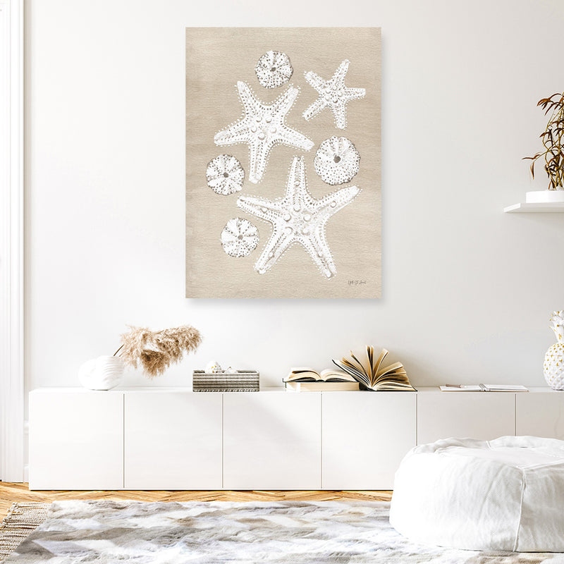 Beach Treasures I Canvas Print
