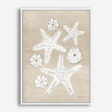 Beach Treasures I Canvas Print