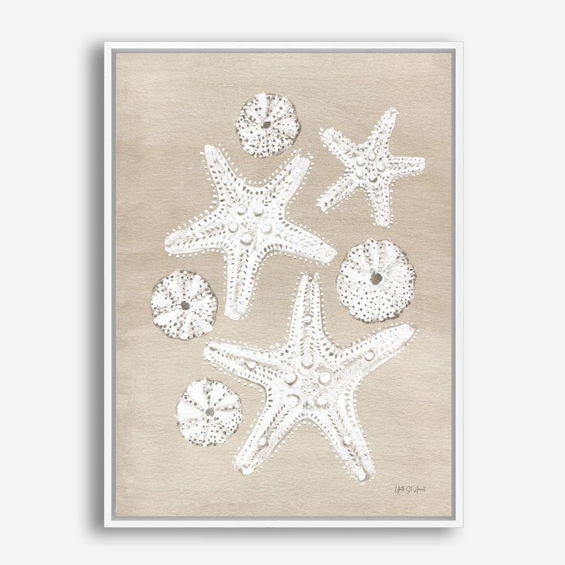 Beach Treasures I Canvas Print