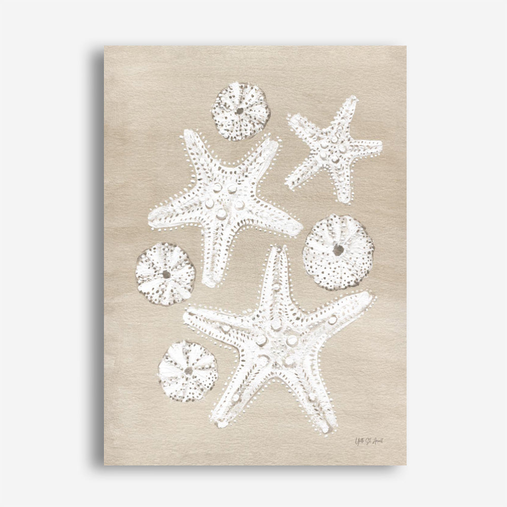 Beach Treasures I Canvas Print