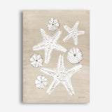 Beach Treasures I Canvas Print