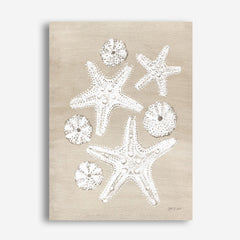 Beach Treasures I Canvas Wall Art Print