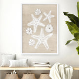 Beach Treasures I Art Print