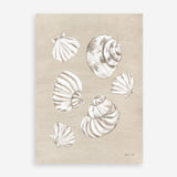 Beach Treasures II Art Print