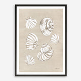 Beach Treasures II Art Print