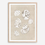 Beach Treasures II Art Print