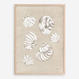 Beach Treasures II Art Print