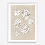 Beach Treasures II Art Print