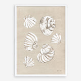 Beach Treasures II Art Print