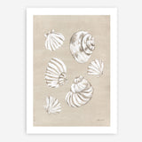 Beach Treasures II Art Print