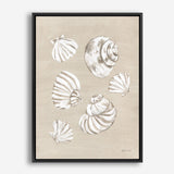 Beach Treasures II Canvas Print