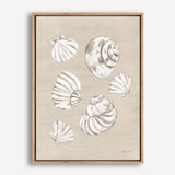 Beach Treasures II Canvas Print
