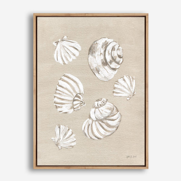 Beach Treasures II Canvas Print