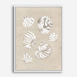 Beach Treasures II Canvas Print