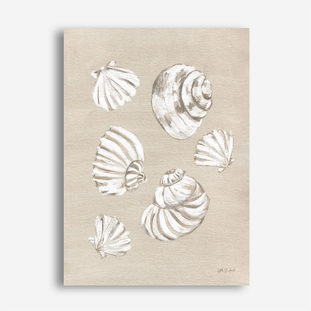 Beach Treasures II Canvas Print