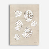 Beach Treasures II Canvas Print