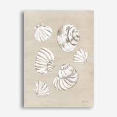Beach Treasures II Canvas Wall Art Print