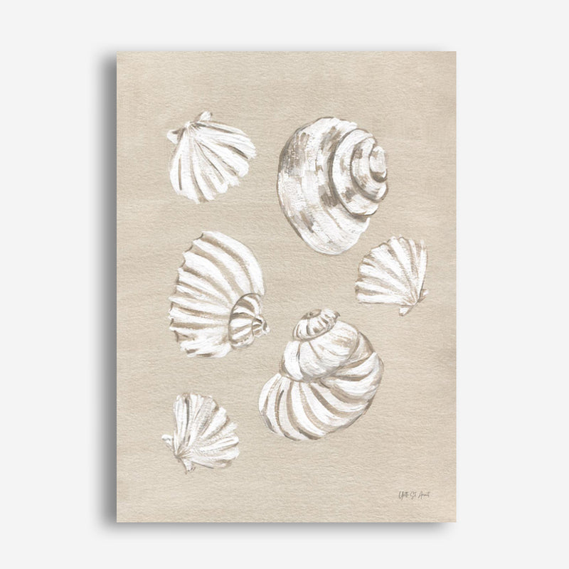 Beach Treasures II Canvas Print