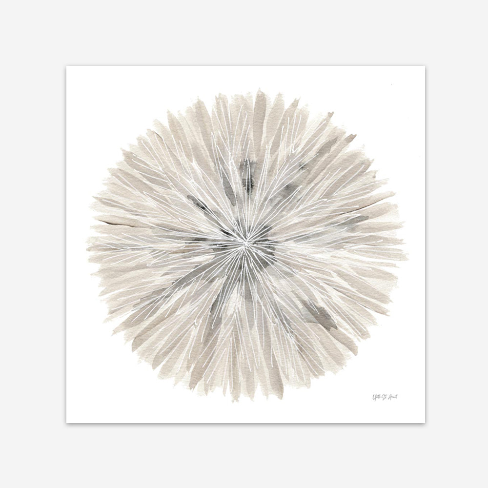 Nature's Pinwheel I (Square) Art Print