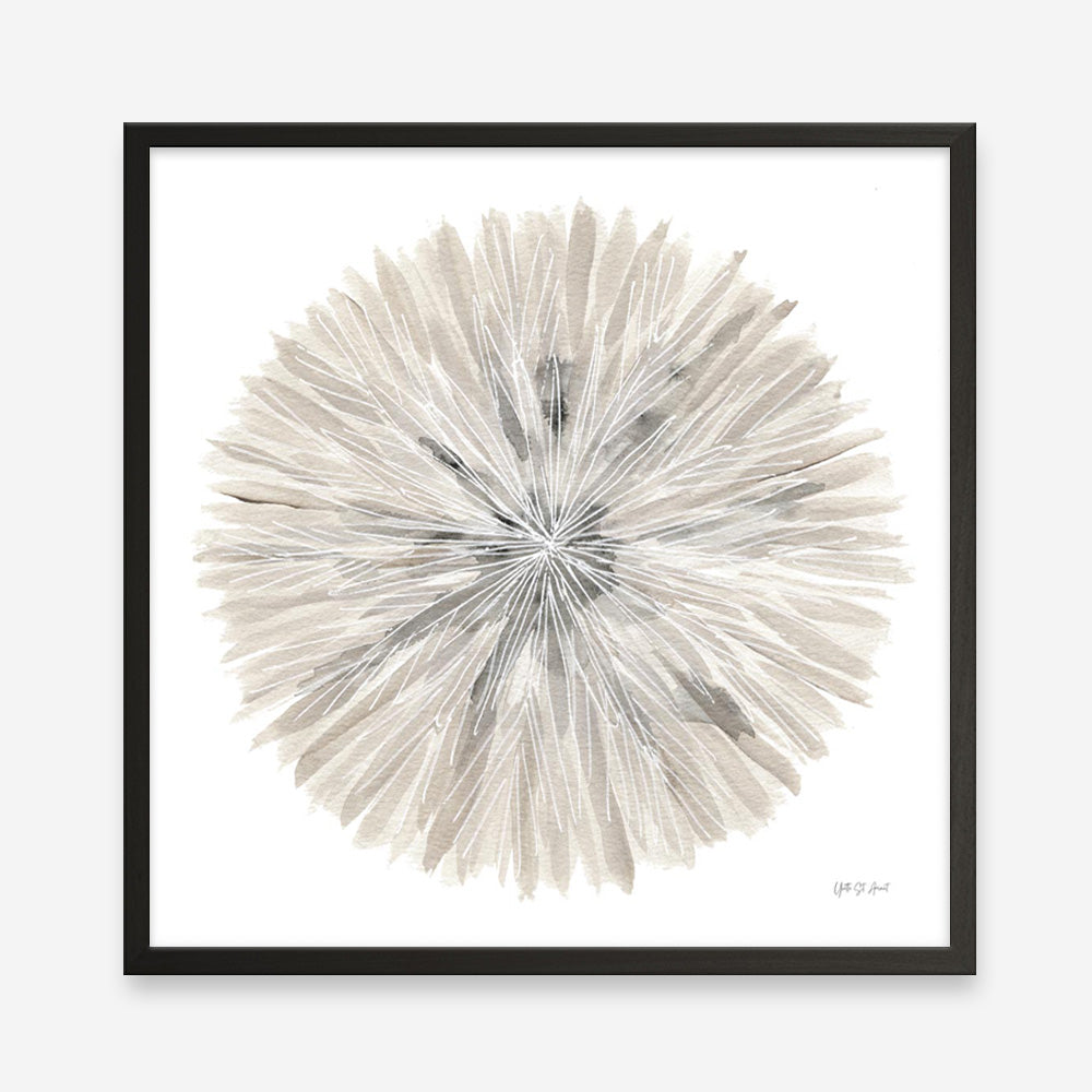 Nature's Pinwheel I (Square) Art Print