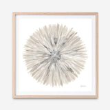 Nature's Pinwheel I (Square) Art Print