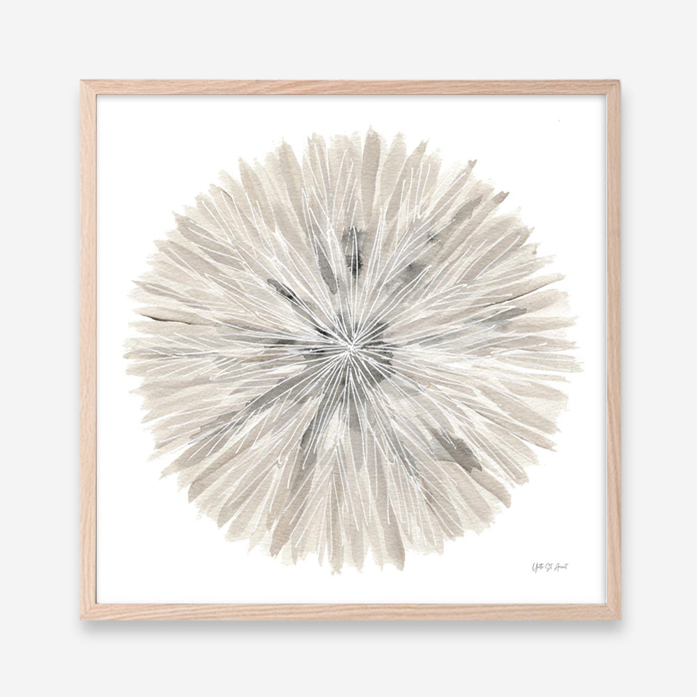 Nature's Pinwheel I (Square) Art Print